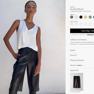 Aritzia Babaton Murphy Blouse